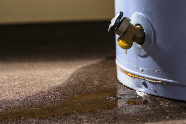 Best Water damage restoration near me  in Grandview, MO