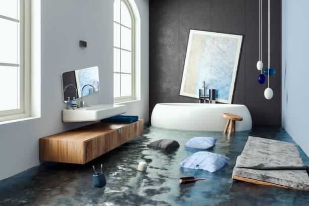Best Mold removal after water damage  in Grandview, MO