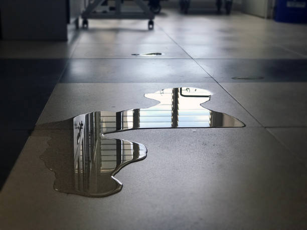 Best Local water damage restoration  in Grandview, MO