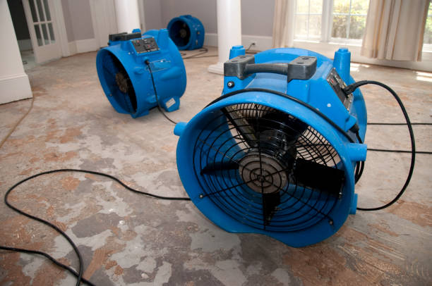 Best Commercial water damage restoration  in Grandview, MO