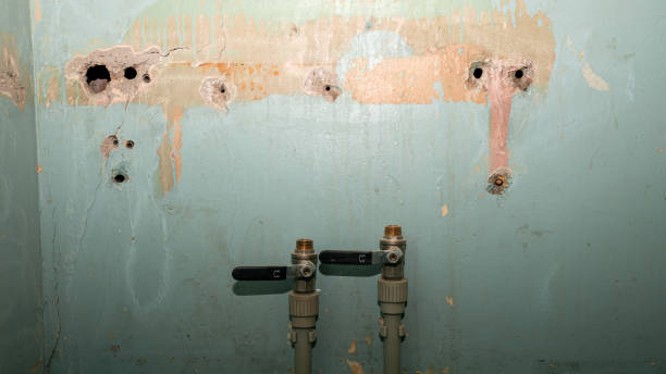 Best 24-hour water damage restoration  in Grandview, MO