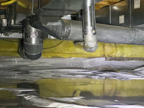 Best Carpet water damage restoration  in Grandview, MO