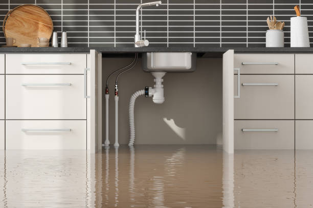 Best Fire Damage Restoration  in Grandview, MO