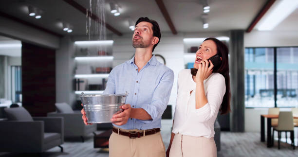  Grandview, MO Water damage restoration Pros