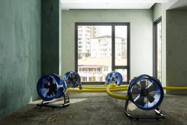 Best Water damage restoration near me  in Grandview, MO